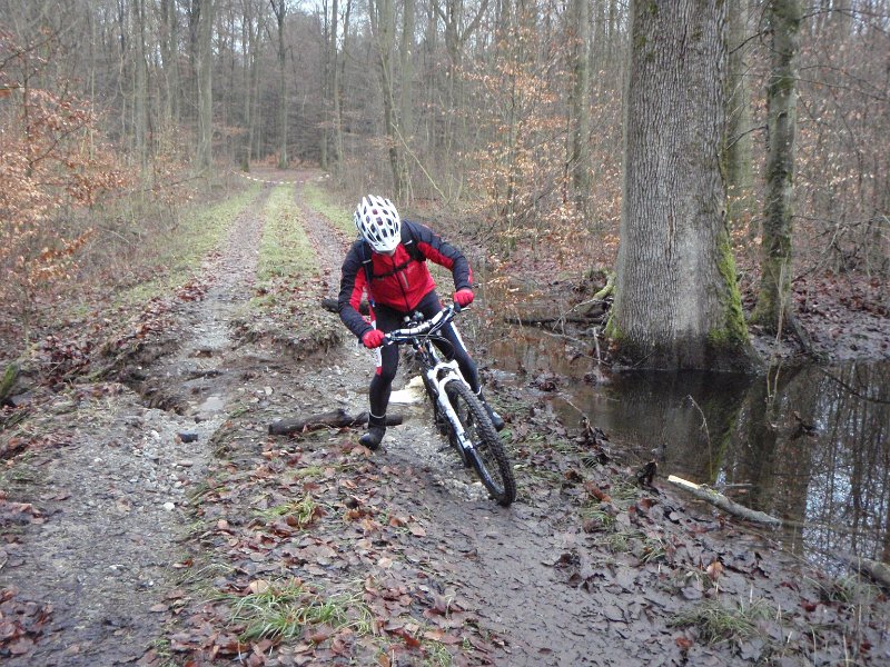 Waldtour 044